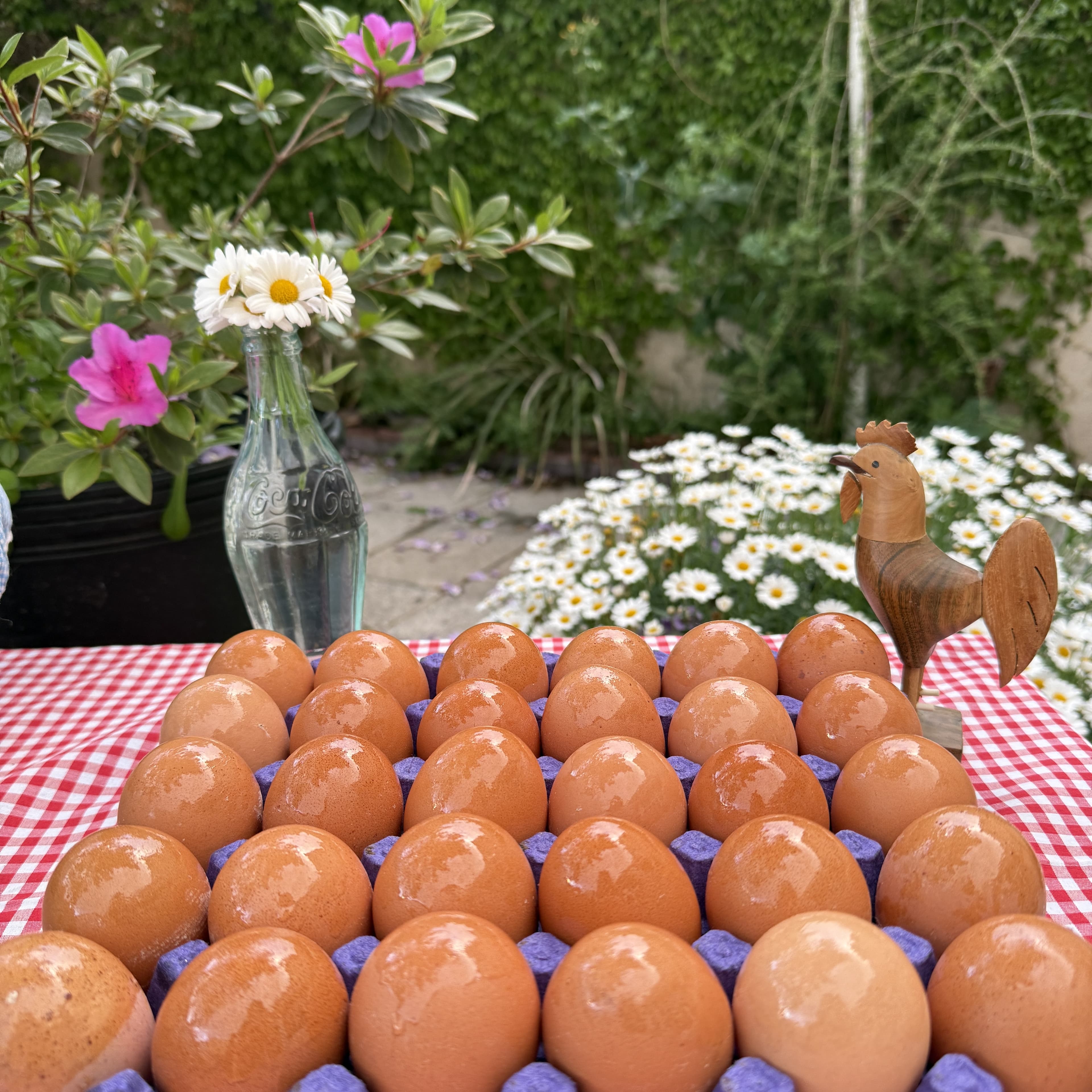 Huevos Orgánicos SUPER — Cajón x20kg