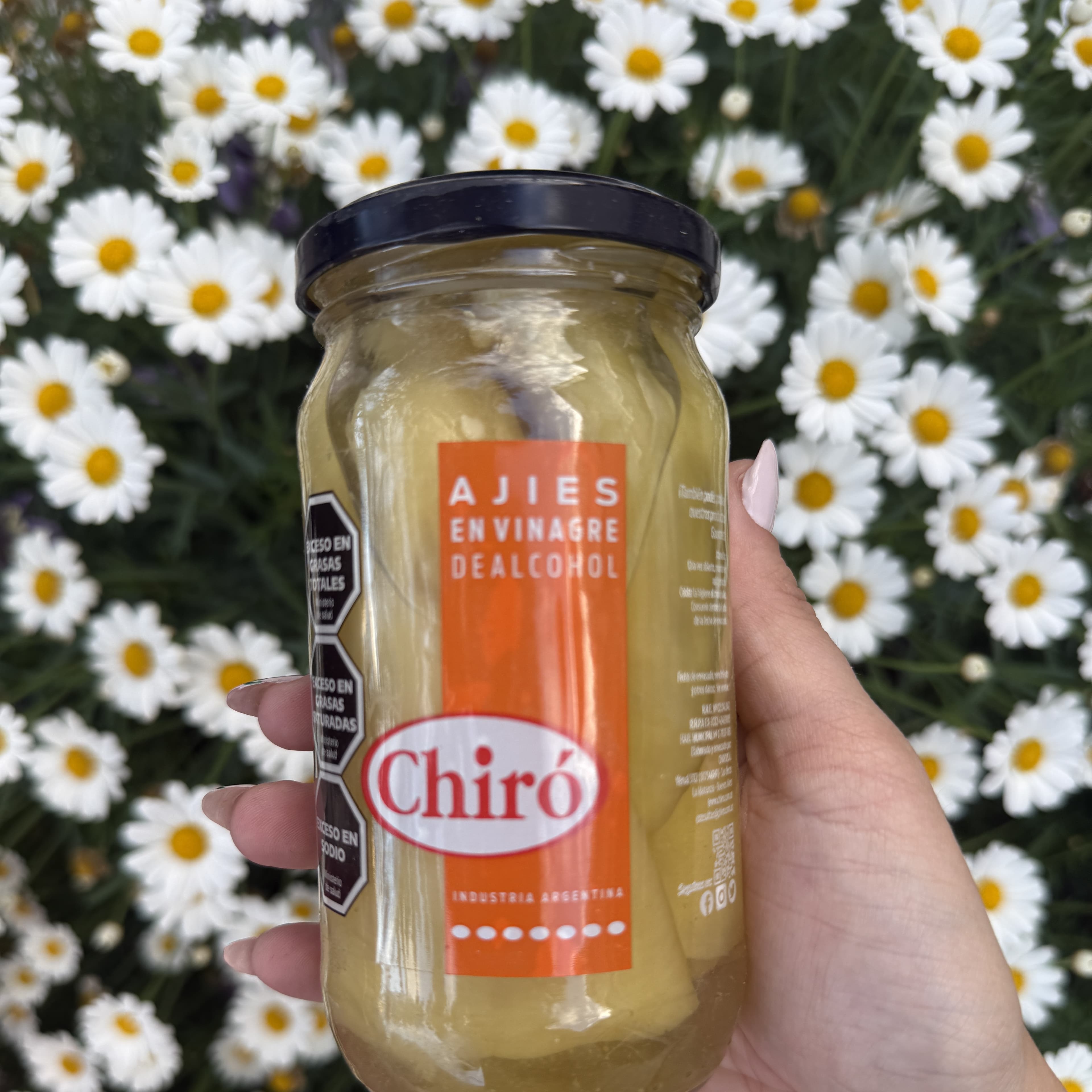 Ajíes en Vinagre