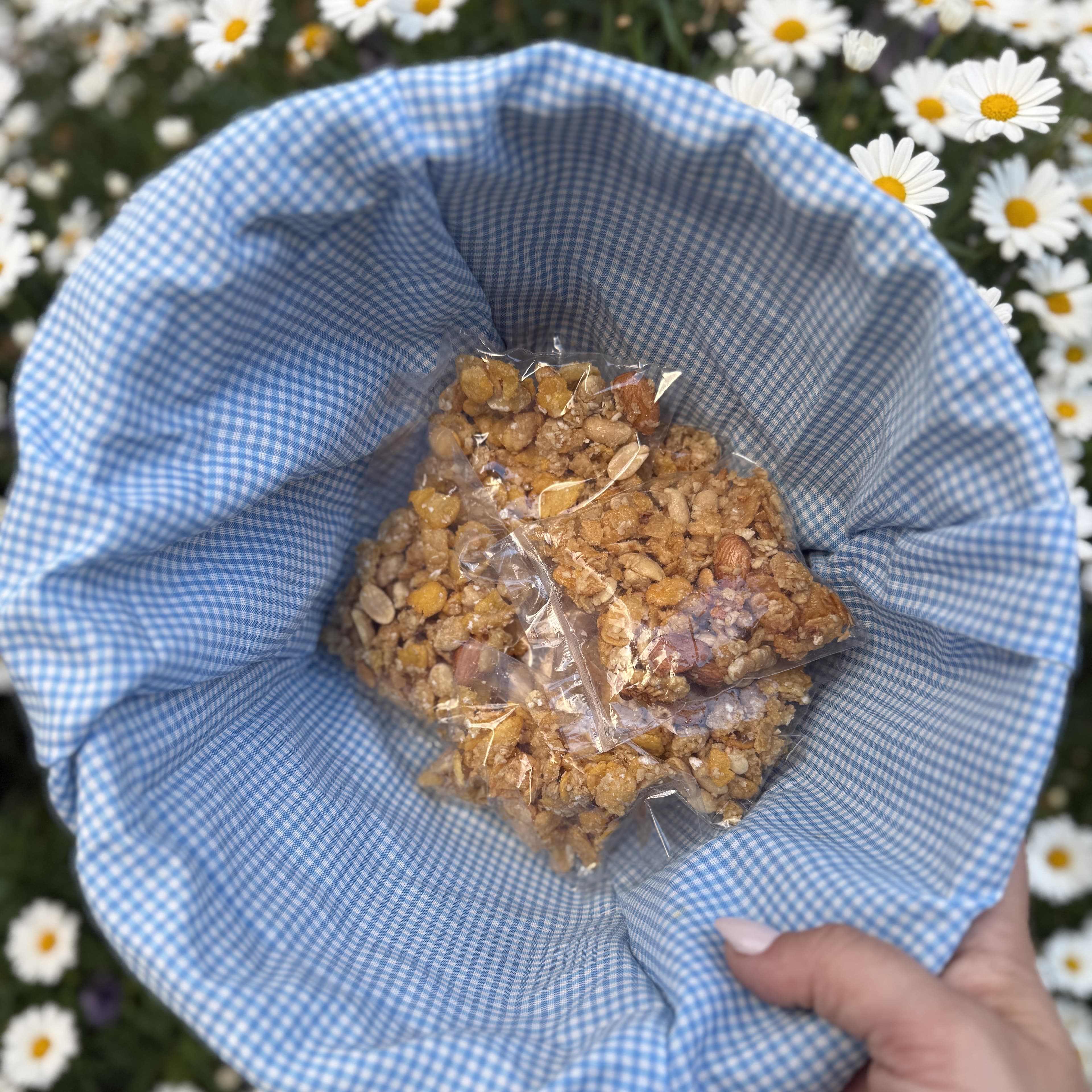 Granola de Cortesía