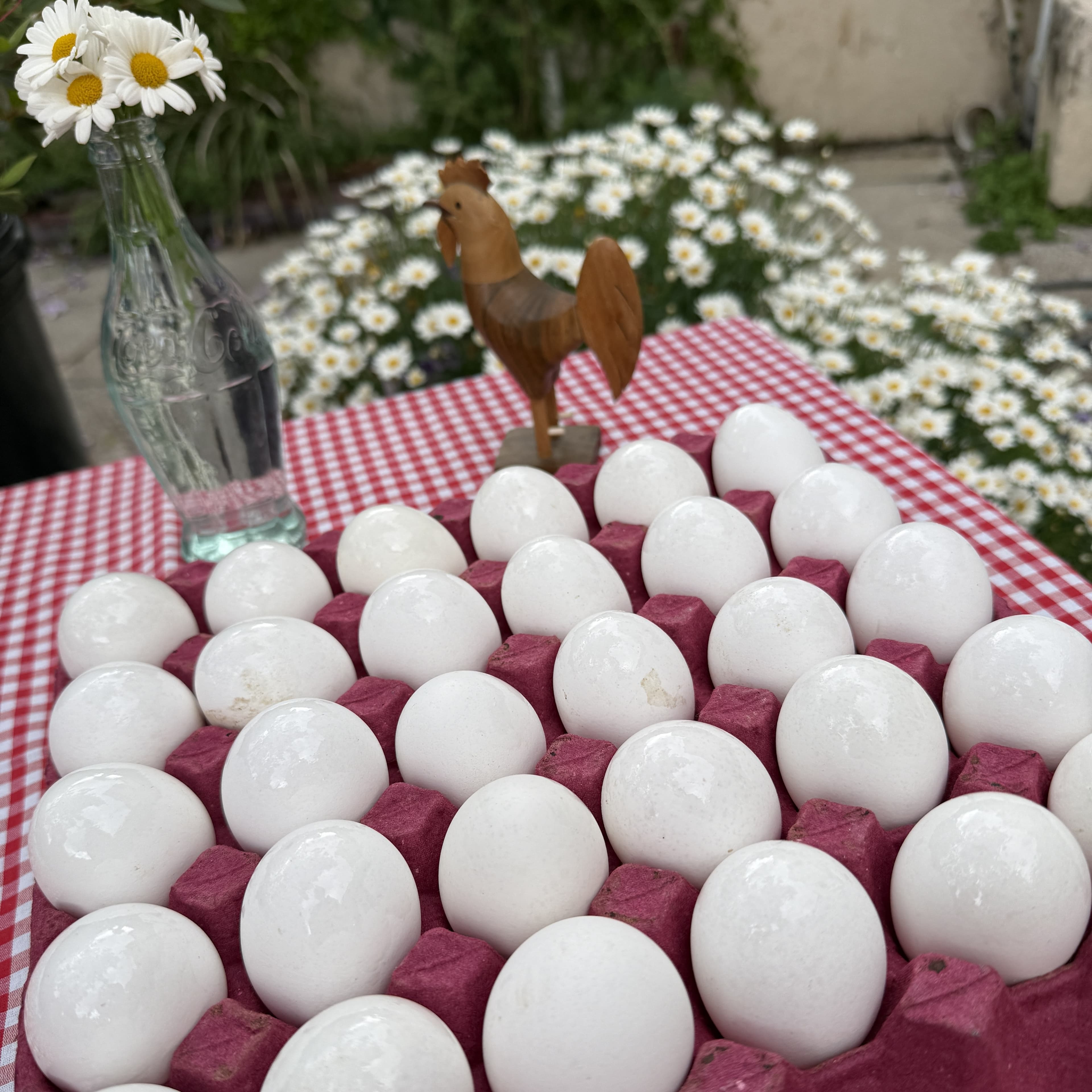 Huevos Blancos N°2 — Maple x30