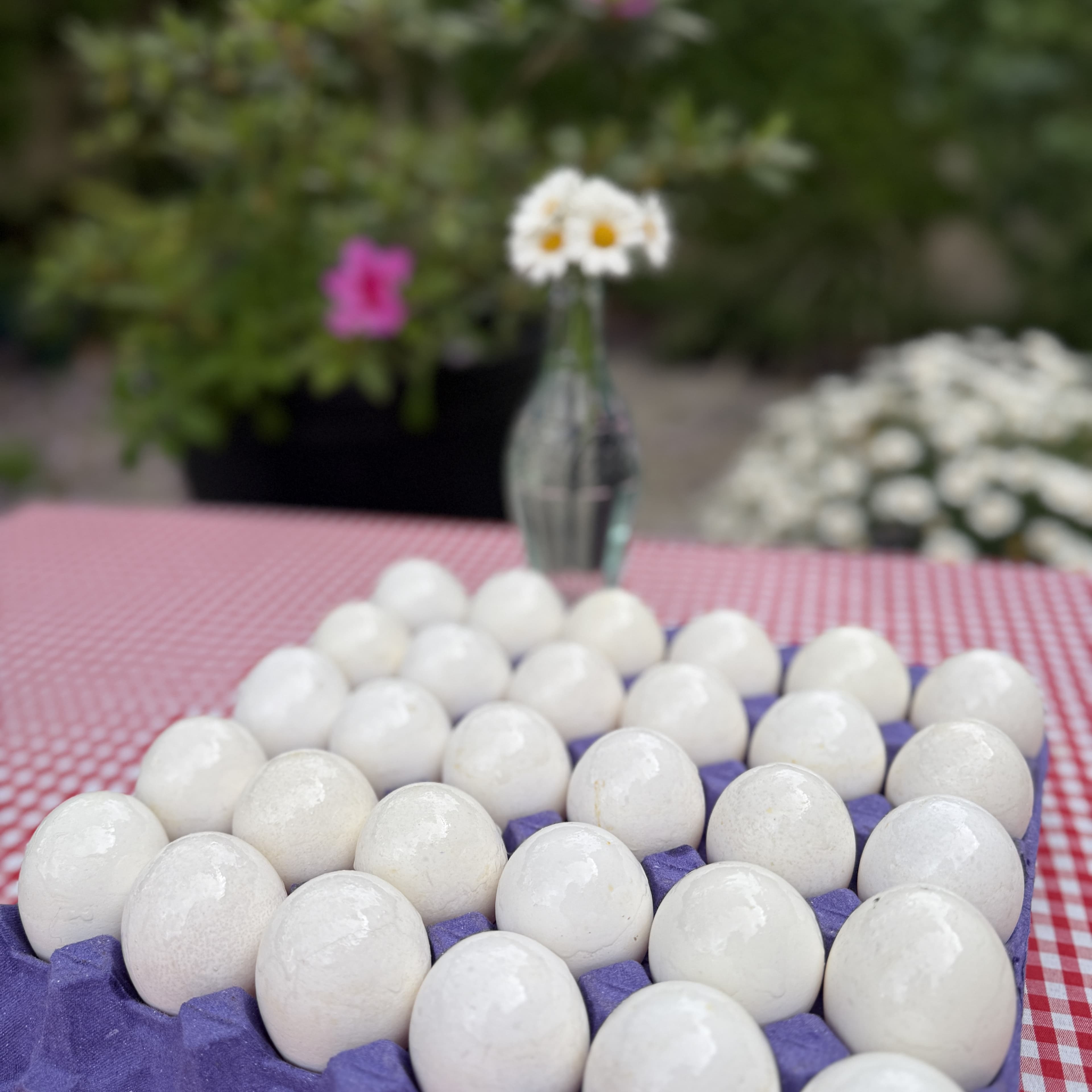 Huevos Blancos SUPER — Caja x30